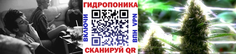 Шишки марихуана конопля  Кондрово 